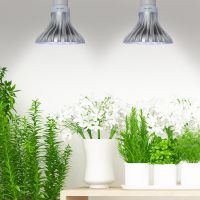 لامپ LED مناسب برای رشد گیاهان
