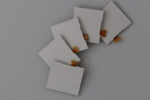 تاچ و ال سی دی نوکیا LCD NOKIA 1202/1280