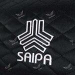 نظم دهنده صندوق سایپا