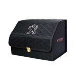 نظم دهنده صندوق پژو